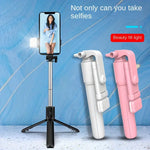 Load image into Gallery viewer, R1S Fill Light Selfie Stick