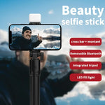 Load image into Gallery viewer, R1S Fill Light Selfie Stick