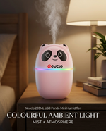 Load image into Gallery viewer, Neuclo 220ML USB Panda Mini Humidifier