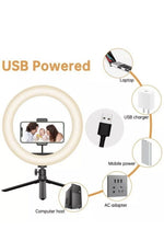 Load image into Gallery viewer, LED Ring Light With Tripod Stand